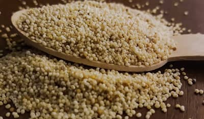 Health Tips : પાચનશક્તિ વધારવા સહીત હાડકા અને દાંત માટે પણ કેવી રીતે ગુણકારી છે ખસખસ, એ જાણો