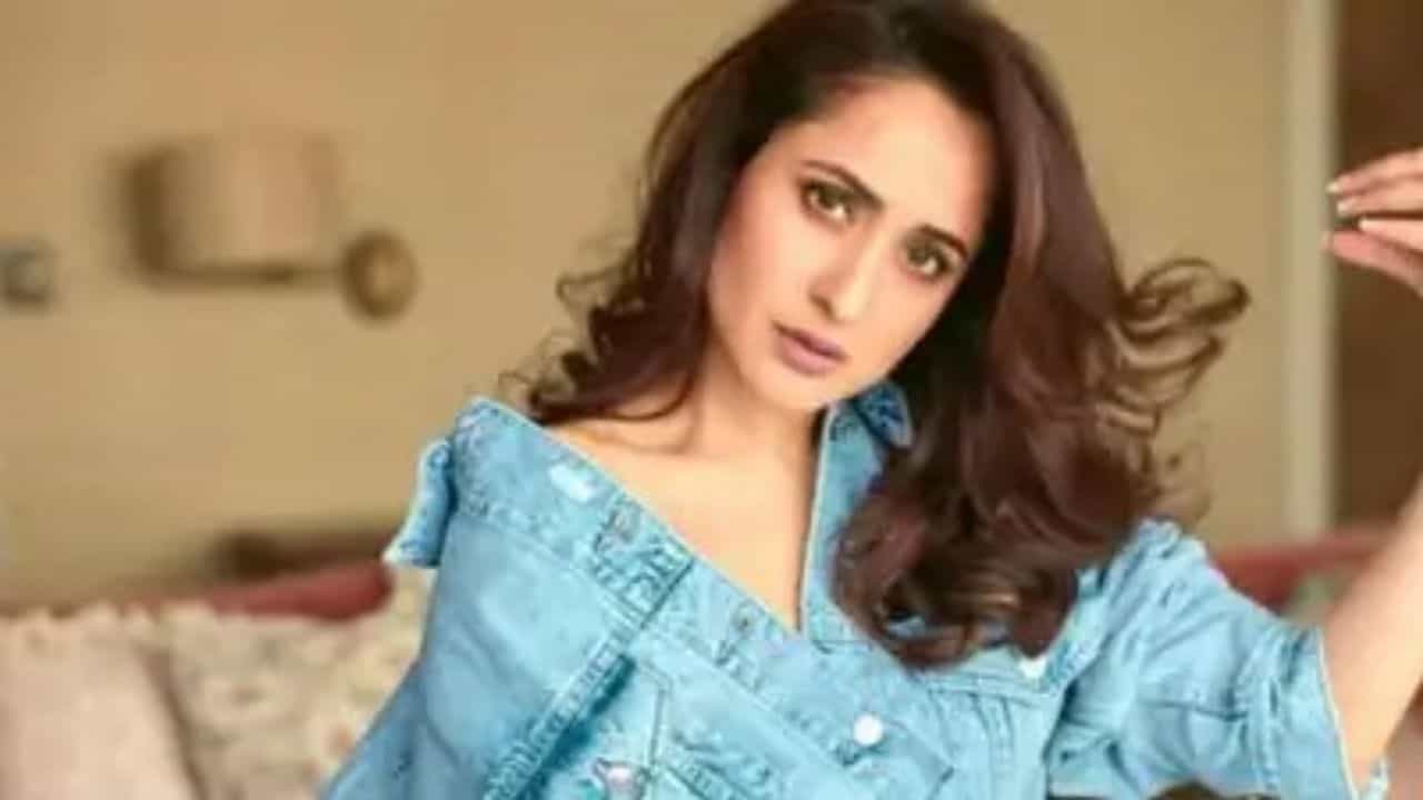 પ્રજ્ઞા જયસ્વાલે સલમાનની ફિલ્મ Antimના સીનના એડિટીંગ પર મૌન તોડ્યું, કહ્યું જે થાય છે તે સારા માટે જ થાય છે