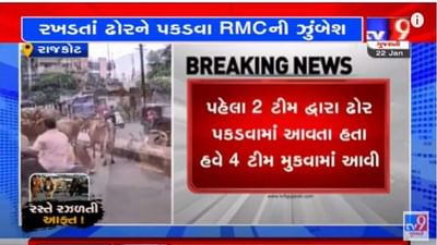Rajkot: રખડતા ઢોરને પકડવાની ઝુંબેશ વેગવંતી, ઢોર પકડનારી ટીમમાં કરાયો વધારો
