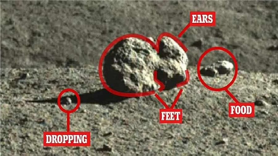 On Moon Rabit Rabbit on Moon: અંતે ચંદ્ર પરની 'રહસ્યમય ઝૂંપડી' નો રાઝ ખુલ્યો, જાણો ...