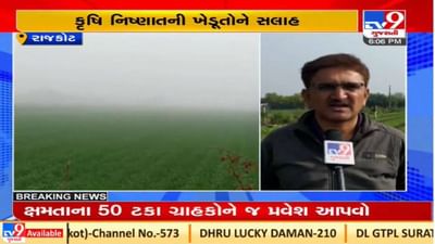 રાજકોટના ધોરાજીમાં ધુમ્મસભર્યા વાતાવરણથી પાકને નુકશાન, ખેડૂતો મૂંઝવણમાં મુકાયા