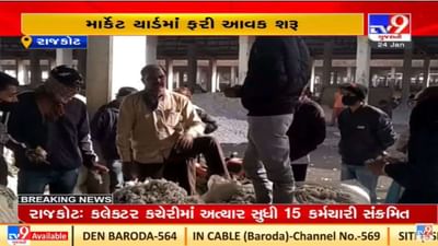 રાજકોટના ઉપલેટા માર્કેટ યાર્ડમાં પાકોની આવક શરૂ, સારા ભાવ મળતા ખેડૂતો ખુશ