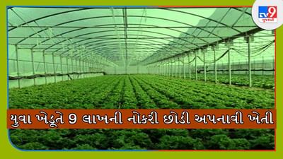 Success Story: નોકરી છોડી અપનાવી ખેતી, આ યુવા ખેડૂતે આપદાને અવસરમાં બદલી લાખોમાં કરી કમાણી