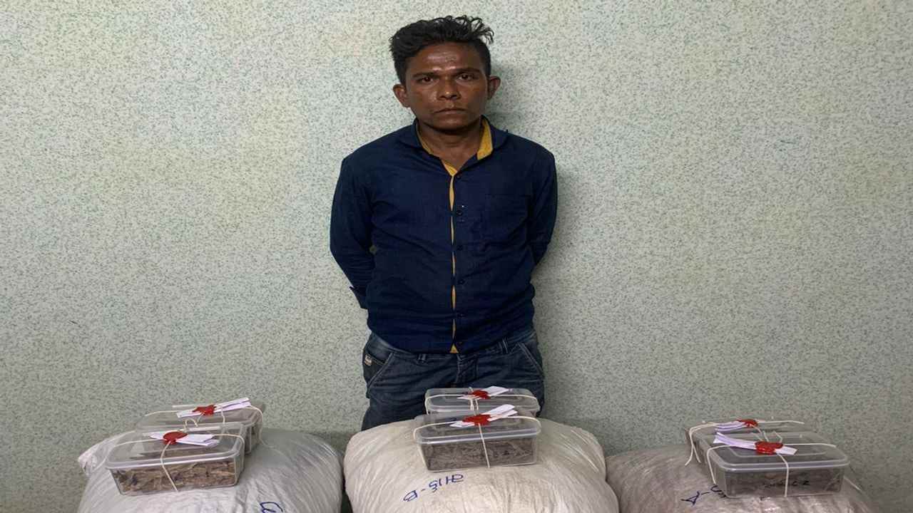 સુરત પોલીસે 4.5 લાખના ગાંજાના જથ્થા સાથે યુવકની ધરપકડ કરી ,આવી હતી મોડસ ઓપરેન્ડી