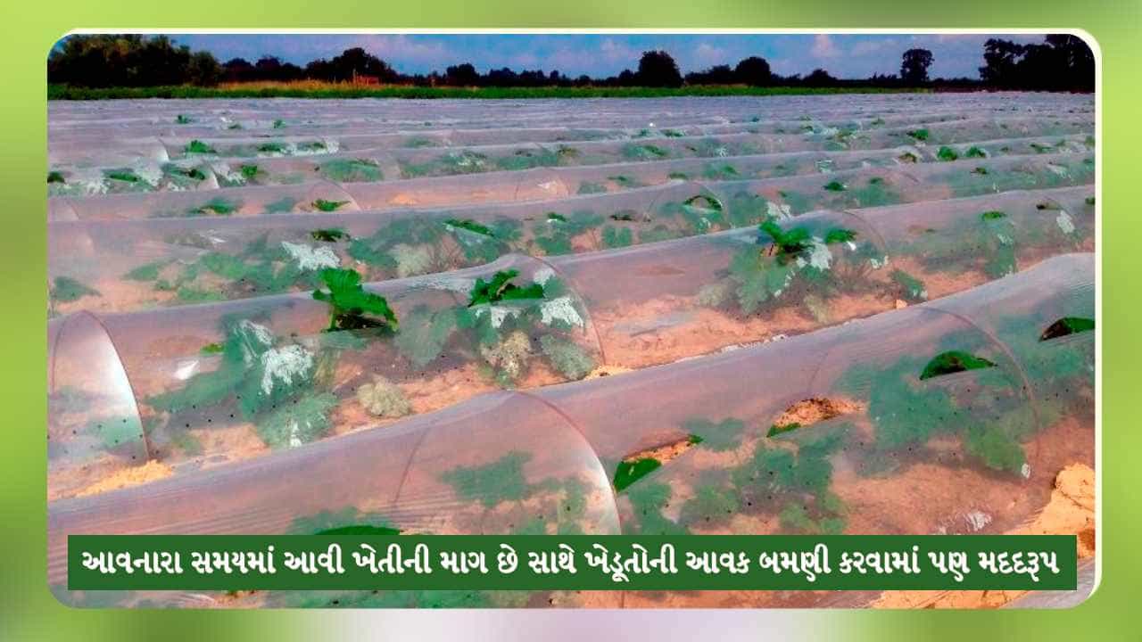 Tunnel Farming: ખેડૂતો ખેતીમાં વધુ સારૂ ઉત્પાદન અને નફો મેળવવા અપનાવી શકે છે આ અનોખી પદ્ધતિ