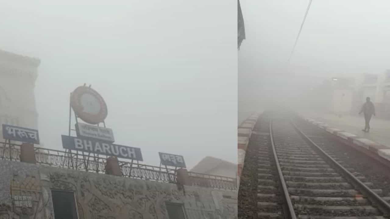 BHARUCH : વહેલી સવારે ધુમ્મ્સ છવાયું, વિઝિબ્લિટીમાં ઘટાડાથી વાહનવ્યવહાર ધીમો પડ્યો