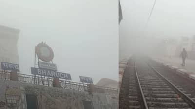 BHARUCH : વહેલી સવારે ધુમ્મ્સ છવાયું, વિઝિબ્લિટીમાં ઘટાડાથી વાહનવ્યવહાર ધીમો પડ્યો