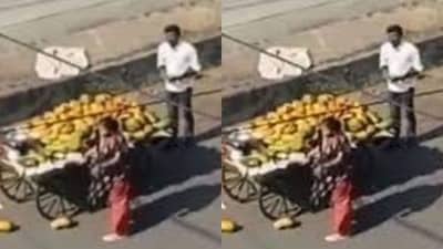 Viral Video : કારને ફળની લારી અડી જતા લેડી પ્રોફેસરનો પારો સાતમા આસમાને, રસ્તા વચ્ચે કર્યો હાઈવોલ્ટેજ ડ્રામા !