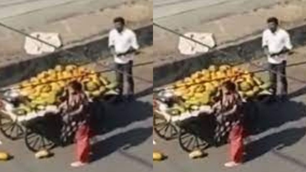 Viral Video : કારને ફળની લારી અડી જતા લેડી પ્રોફેસરનો પારો સાતમા આસમાને, રસ્તા વચ્ચે કર્યો હાઈવોલ્ટેજ ડ્રામા !