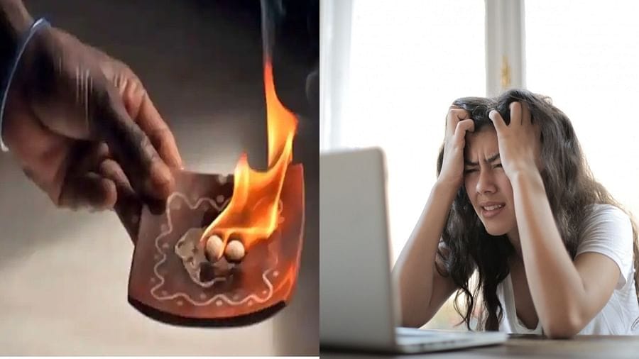 Vastu Tips: ઘરની તમામ નકારાત્મક ઉર્જા દૂર કરવા અપનાવો વાસ્તુના આ સાત સરળ ઉપાય