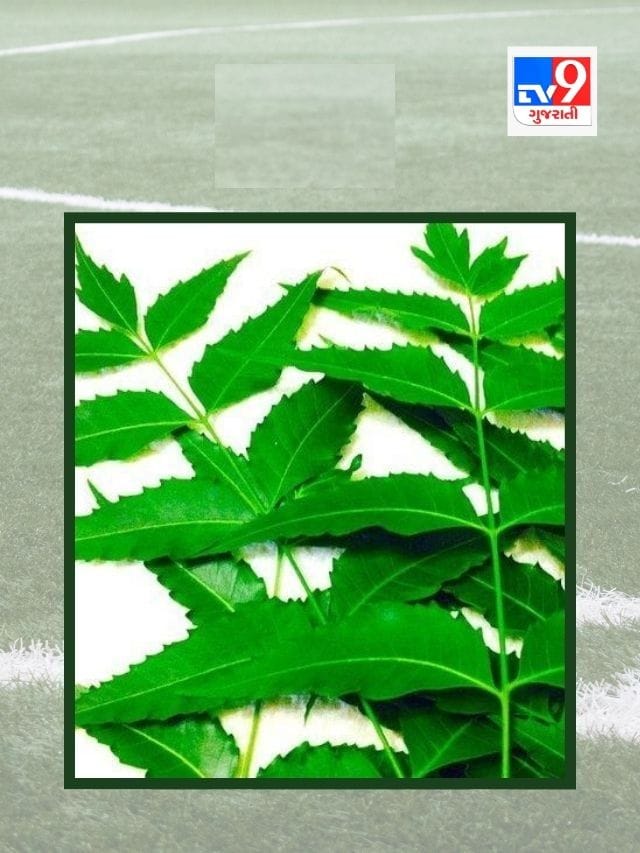 ખૂબ ગુણાકારી છે લીમડો