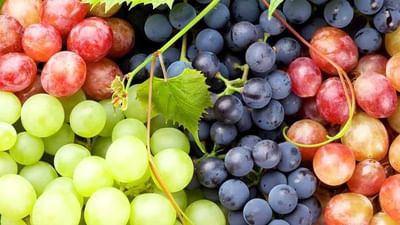 જ્યારે કેરી અને સ્ટ્રોબેરીનો આઈસ્ક્રીમ બનાવી શકાય છે તો દ્રાક્ષનો કેમ નહીં, કારણ છે ચોંકાવનારું