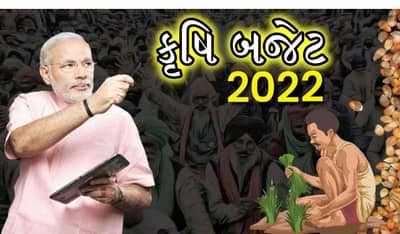Agriculture Budget 2022 : શું સામાન્ય બજેટમાં ખેતી પર ખાસ ધ્યાન આપશે સરકાર ?