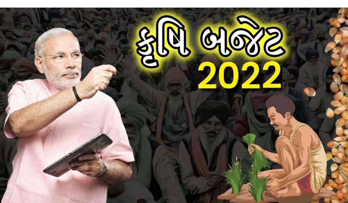 Agriculture Budget 2022 : શું સામાન્ય બજેટમાં ખેતી પર ખાસ ધ્યાન આપશે સરકાર ?