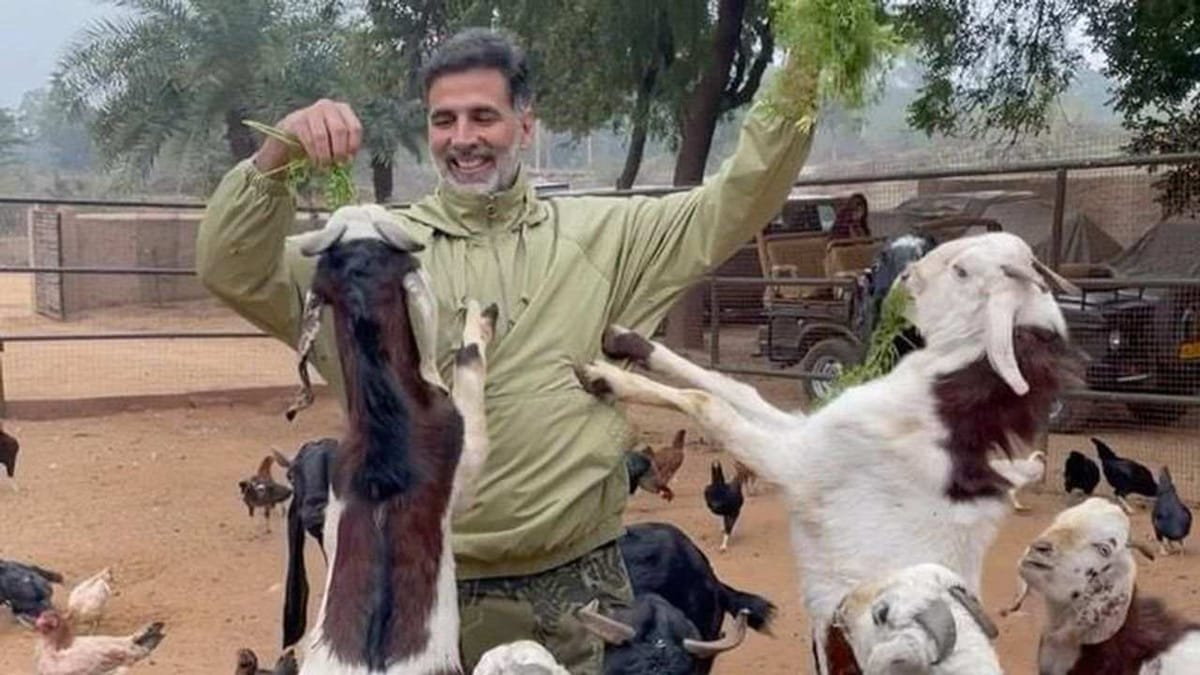 Video: નાની-નાની વસ્તુઓમાં ઘણી ખુશી છે, પશુઓ સાથેના વીડિયોમાં Akshay Kumarએ માન્યો ભગવાનનો આભાર