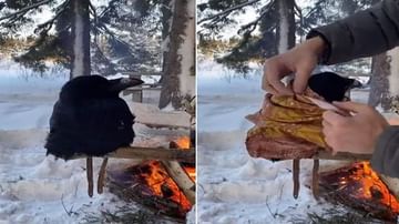 Viral Video: ઠંડીથી ધ્રુજી રહ્યો હતો કાગડો, શખ્સે અનોખી રીતે કરી તેની મદદ