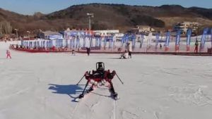 China Skiing Robot: ચીને બનાવ્યો 6 પગવાળો વિચિત્ર રોબોટ, સરહદ પર તૈનાત રહી કરશે આ કામ