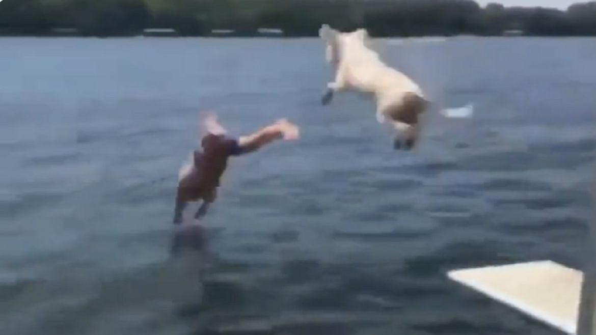 Viral: કૂતરાની માલિક પ્રત્યે અતૂટ વફાદારી, માલિકની સાથે જ કૂતરાએ પણ લગાવી દીધી પાણીમાં છલાંગ