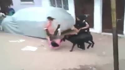 Viral: રસ્તા પર જતી છોકરીને બકરીએ કારણ વગર ફંગોળી, પછી થઈ જોવા જેવી