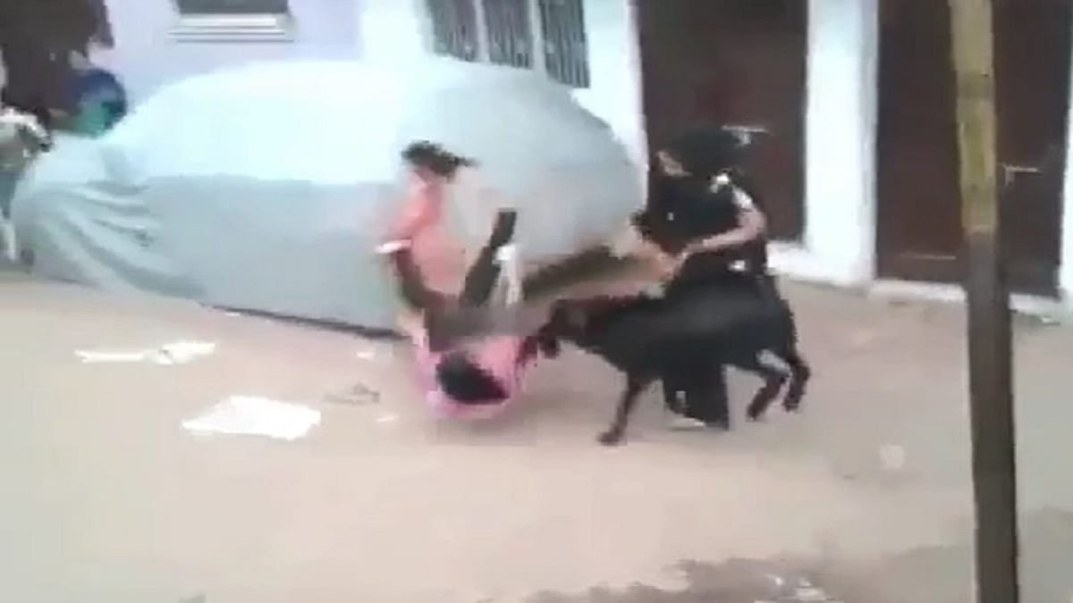 Viral: રસ્તા પર જતી છોકરીને બકરીએ કારણ વગર ફંગોળી, પછી થઈ જોવા જેવી