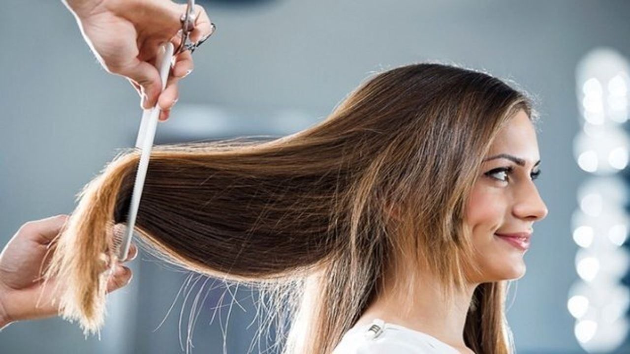 The hair you throw in the trash is traded for crores of rupees, find out interesting information about hair trade through report | Hair business | PiPa News The hair you throw in the trash is traded for crores of rupees, find out interesting information about hair trade through report | Hair business | PiPa News