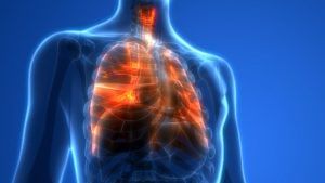 Healthy Lungs :આ મહામારીમાં  શ્વસનતંત્રને મજબૂત કરવા માંગતા હોવ, તો એકવાર આ જરૂર વાંચજો