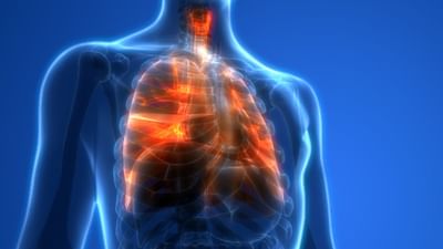 Healthy Lungs :આ મહામારીમાં શ્વસનતંત્રને મજબૂત કરવા માંગતા હોવ, તો એકવાર આ જરૂર વાંચજો
