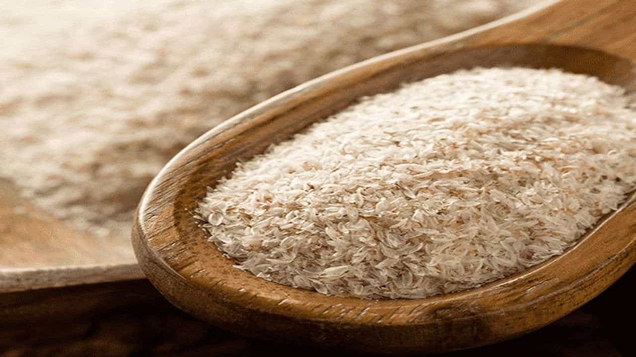 Health Tips : કબજિયાત અને અપચાની સમસ્યા માટે રામબાણ છે ઇસબગોલ, જાણો બીજા ફાયદા