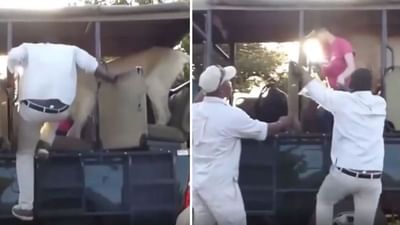 Viral : જંગલ સફારી પાર્કમાં અચાનક ખુંખાર સિંહ ઘૂસી ગયો કારમાં, વીડિયો જોઈને યુઝર્સ કહ્યુ યે તો હોલિવુડ સીન હૈ