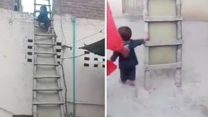Video :  સીડી પરથી નીચે ઉતરવા આ બાળકે લગાવ્યુ ગજબનુ દિમાગ, જુગાડ જોઈને યુઝર્સ હસીને લોટ પોટ થયા