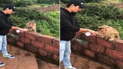 Viral: વાંદરાને પાણી પીવડાવતા આ શખ્સે જીત્યા લોકોના દીલ, લોકો બોલ્યા જળ એજ જીવન