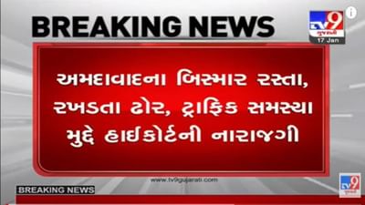 અમદાવાદના બિસ્માર રસ્તા, રખડતા ઢોર અને ટ્રાફિકની સમસ્યા મુદ્દે હાઈકોર્ટ નારાજ, કહ્યું કાયદા અને નિયમો હોવા છતાં અમલ કરાતો નથી