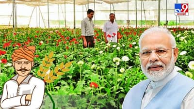 PM Kisan 10th Installment: વડાપ્રધાન નરેન્દ્ર મોદીએ PM-કિસાન યોજનાનો 10મો હપ્તો જાહેર કર્યો, 10 કરોડ ખેડૂતોના ખાતામાં 20,900 કરોડ રૂપિયા ટ્રાન્સફર કરાયા