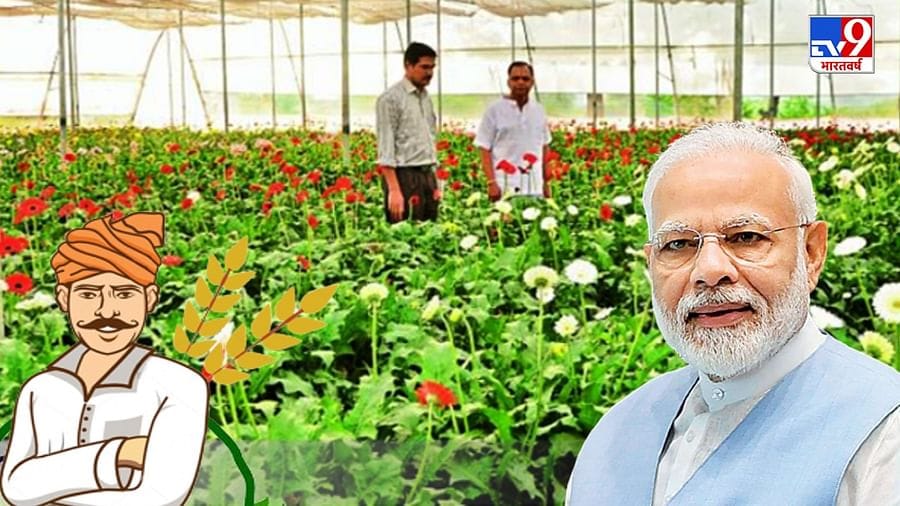 PM Kisan 10th Installment: વડાપ્રધાન નરેન્દ્ર મોદીએ PM-કિસાન યોજનાનો 10મો હપ્તો જાહેર કર્યો, 10 કરોડ ખેડૂતોના ખાતામાં 20,900 કરોડ રૂપિયા ટ્રાન્સફર કરાયા