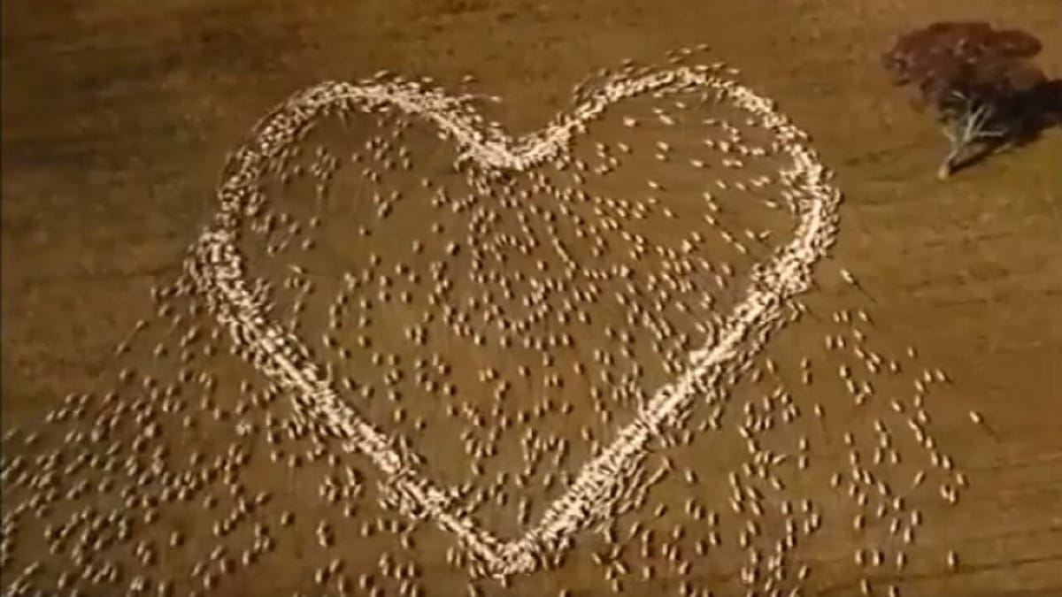 Viral: આટલી અનોખી શ્રદ્ધાંજલિ તમે ક્યારેય નહીં જોઈ હોય, વીડિયો લોકોને ખુબ આવી રહ્યો છે પસંદ