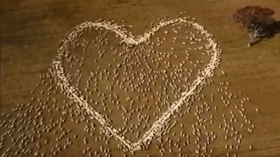 Viral: આટલી અનોખી શ્રદ્ધાંજલિ તમે ક્યારેય નહીં જોઈ હોય, વીડિયો લોકોને ખુબ આવી રહ્યો છે પસંદ