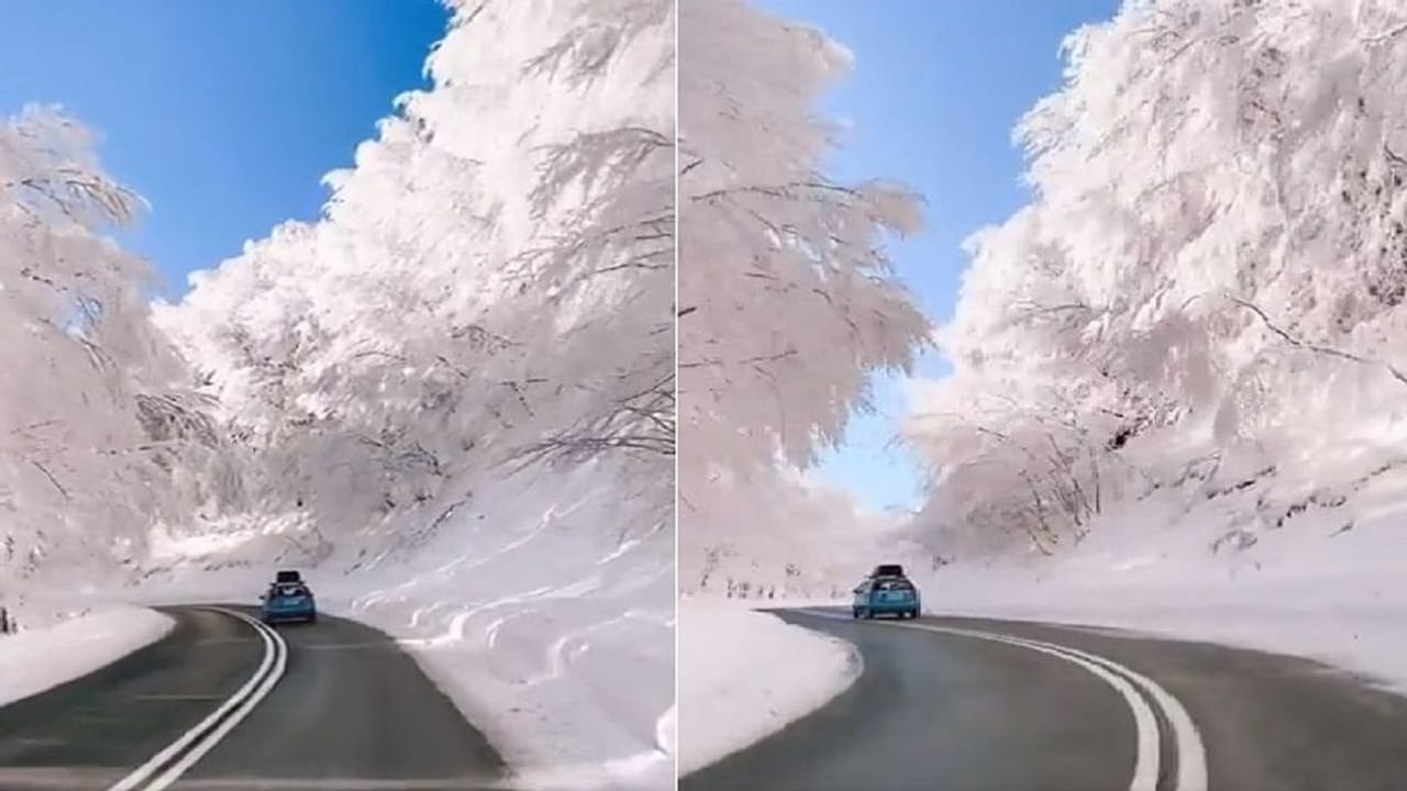 Viral: ધરતી પર સ્વર્ગ! આટલો સુંદર વીડિયો જોઈ લોકો થયા મંત્રમુગ્ધ, કહ્યું આવું ધરતી પર ના હોય