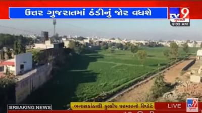 ગુજરાતમાં તીવ્ર ઠંડીનું મોજુ ફરી વળ્યું, અમદાવાદમાં 8 ડિગ્રી સાથે સૌથી વધુ ઠંડીનો અનુભવ