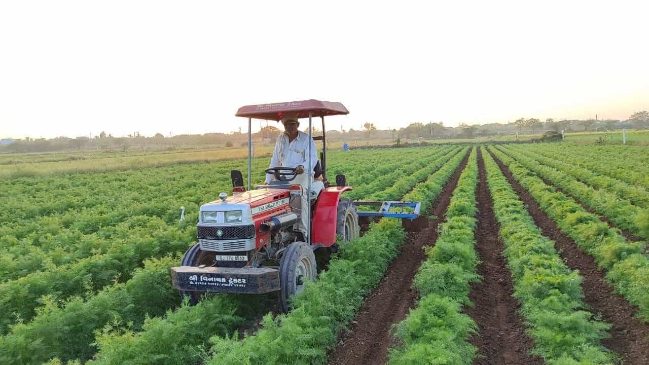 દેવભૂમિ દ્વારકા : પ્રાકૃતિક કૃષિ અપનાવી રૂપિયા 60 લાખથી વધુ આવક મેળવતા સિધ્ધપુર ગામના ધરતીપુત્રો