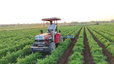 દેવભૂમિ દ્વારકા : પ્રાકૃતિક કૃષિ અપનાવી રૂપિયા 60 લાખથી વધુ આવક મેળવતા સિધ્ધપુર ગામના ધરતીપુત્રો