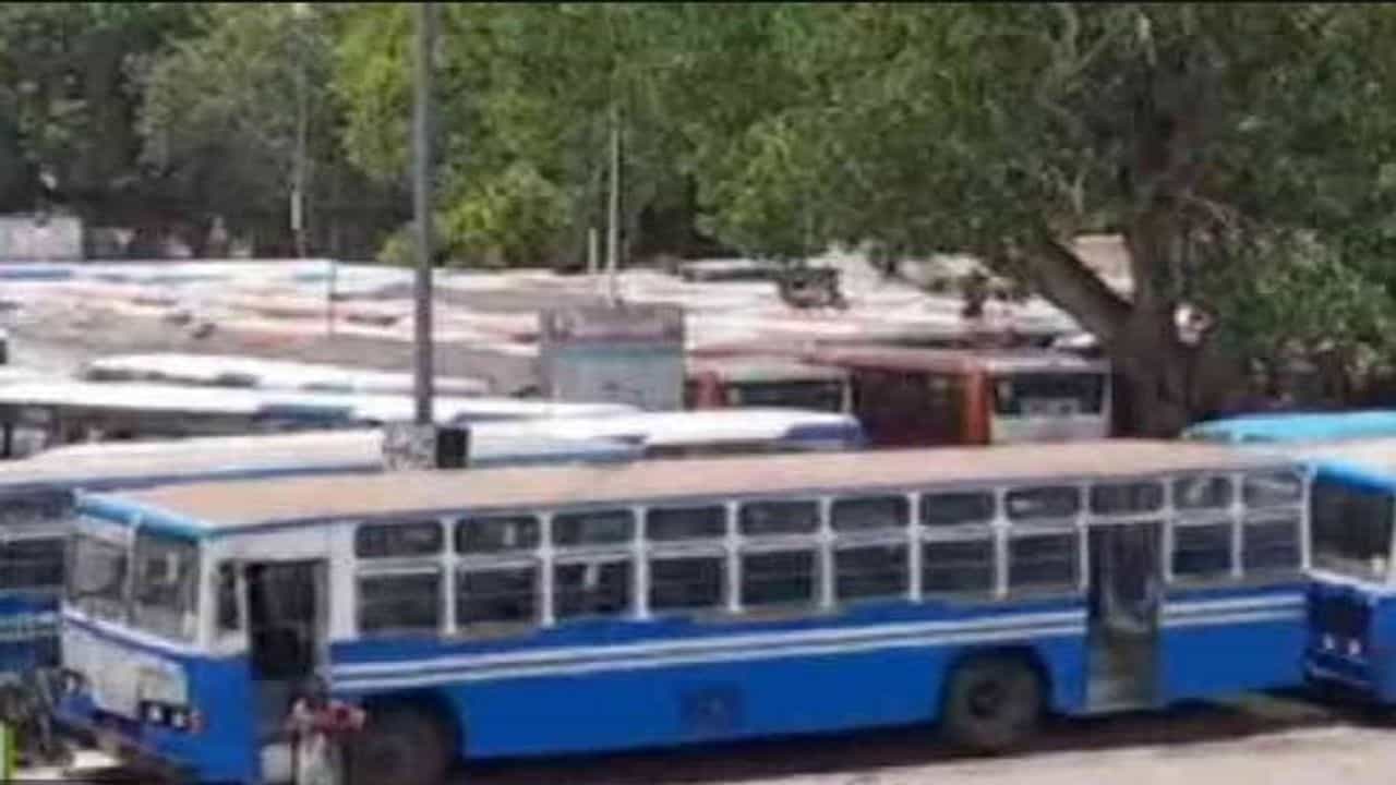 વડોદરામાં ચાલતી શહેરી બસ સેવાની વ્યવસ્થામાં અગડમ-બગડમ, શું સીટી બસ સેવા કરી રહી છે ખોટ ?