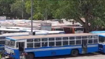 વડોદરામાં ચાલતી શહેરી બસ સેવાની વ્યવસ્થામાં અગડમ-બગડમ, શું સીટી બસ સેવા કરી રહી છે ખોટ ?