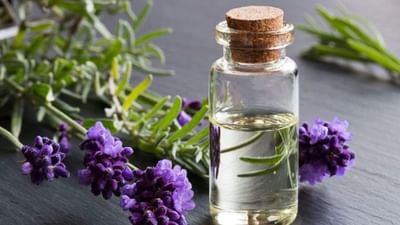 લવંડરનું તેલ: એન્ટિસેપ્ટિક ગુણધર્મોથી સમૃદ્ધ, લવંડરનું તેલ બેક્ટેરિયા અને ફૂગને દૂર કરવામાં મદદરૂપ હોવાનું માનવામાં આવે છે. તે ફોલ્લાઓને થતા અટકાવે છે. તેના થોડા ટીપા નાખીને સ્નાન કરવામાં આવે તો માનસિક શાંતિ મળે છે અને તણાવ દૂર થાય છે.