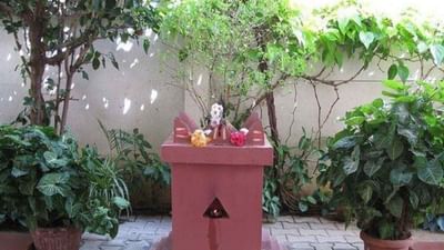 તુલસીનો છોડ દરેક ઘરમાં સરળતાથી મળી જશે. સ્વાસ્થ્યની દ્રષ્ટિએ તુલસીના ઘણા ફાયદા છે. આયુર્વેદમાં તુલસીના પાનનો ઉપયોગ તમામ રોગોને દૂર કરવા માટે કરવામાં આવે છે. પરંતુ કેટલીક બીમારીઓમાં તુલસીના સેવનથી સમસ્યા વધી શકે છે, જેના વિશે લોકો જાણતા નથી.