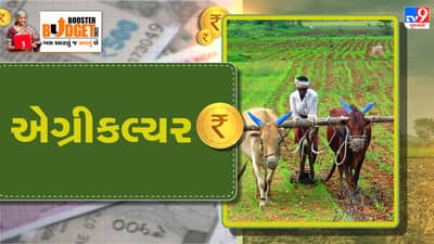 Agriculture Budget 2022: નાણામંત્રીએ ખેડૂતોને આપી મોટી ભેટ, સરકાર MSP હેઠળ ખેડૂતોને આપશે 2.70 લાખ કરોડ