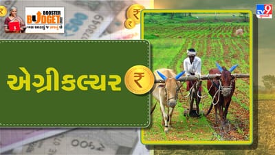 Agriculture Budget 2022: નાણામંત્રીએ ખેડૂતોને આપી મોટી ભેટ, સરકાર MSP હેઠળ ખેડૂતોને આપશે 2.70 લાખ કરોડ