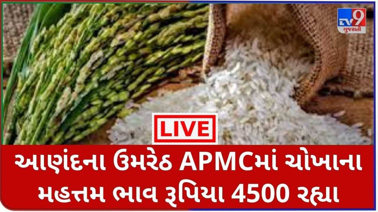 Mandi: આણંદના ઉમરેઠ APMCમાં ચોખાના મહત્તમ ભાવ રૂપિયા 4500 રહ્યા, જાણો જુદા-જુદા પાકના ભાવ