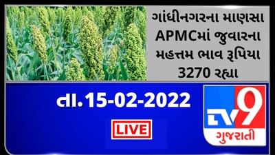 Mandi: ગાંધીનગરના માણસા APMCમાં જુવારના મહત્તમ ભાવ રૂપિયા 3270 રહ્યા, જાણો જુદા-જુદા પાકના ભાવ