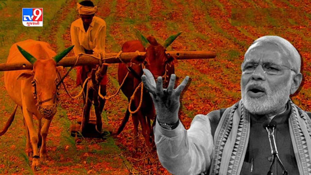 Agriculture Budget: નિષ્ણાતોના મતે ગ્રામીણ ભારત અને કૃષિ-ખેડૂતો માટે વિકાસની ગતિ વધારશે આ બજેટ