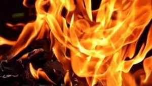 Ahmedabad : જમાલપુર ચાર રસ્તા નજીક પેટ્રોલ પંપ પર આગ લાગતા દોડધામ મચી, આગ પર કાબૂ મેળવાયો